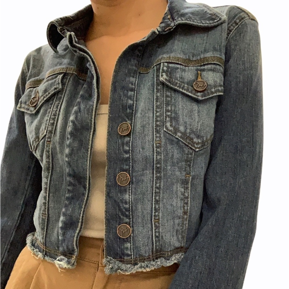 Max studio cropped denim jacket